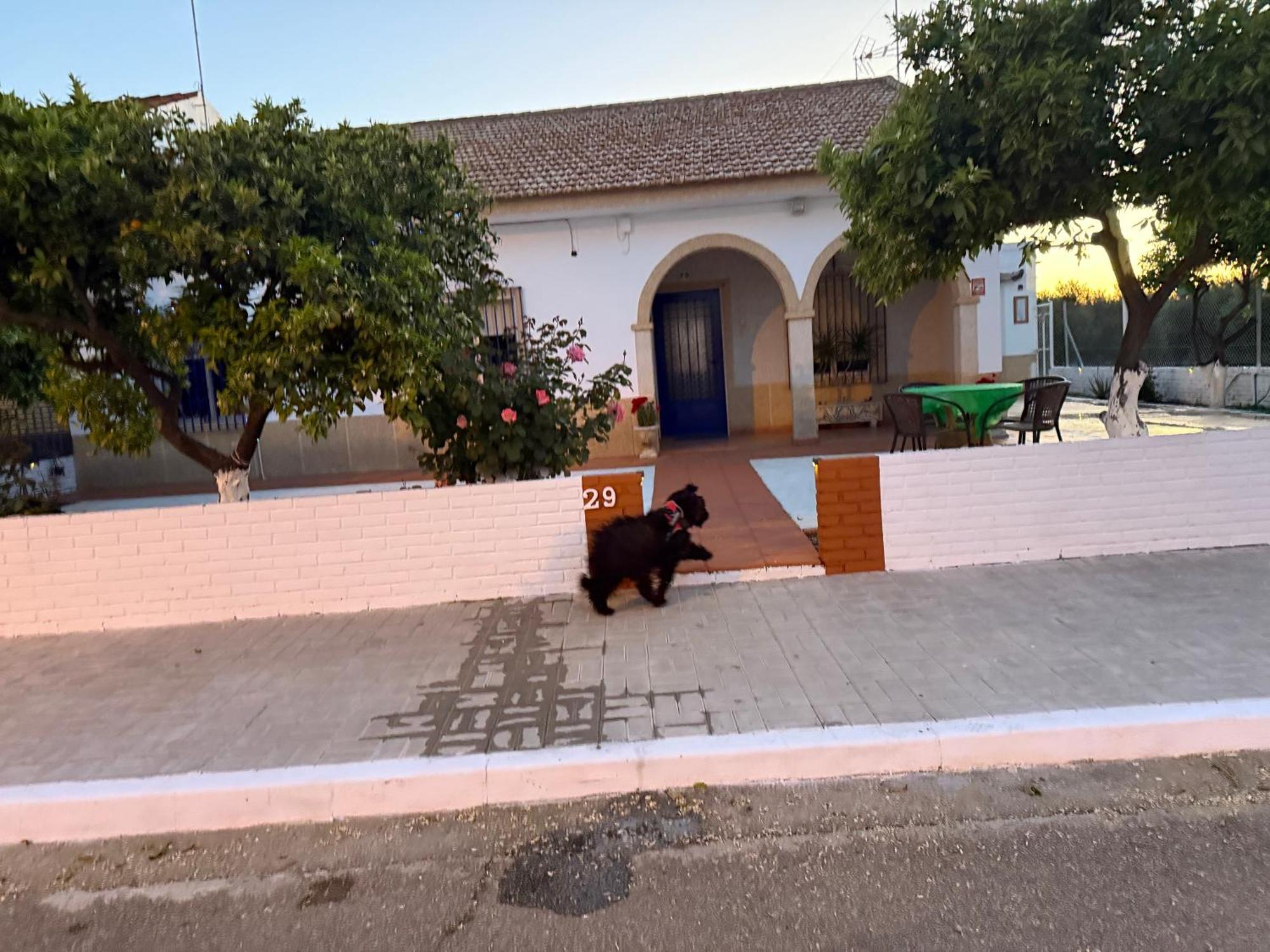 Cañada del Rabadán La Casa Del Flamencoヴィラ エクステリア 写真