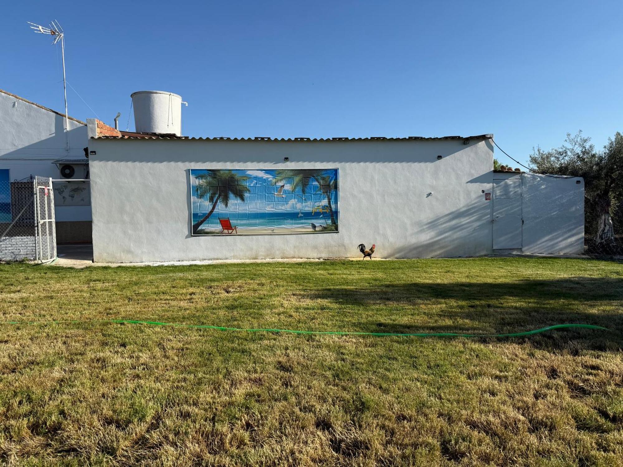 Cañada del Rabadán La Casa Del Flamencoヴィラ エクステリア 写真