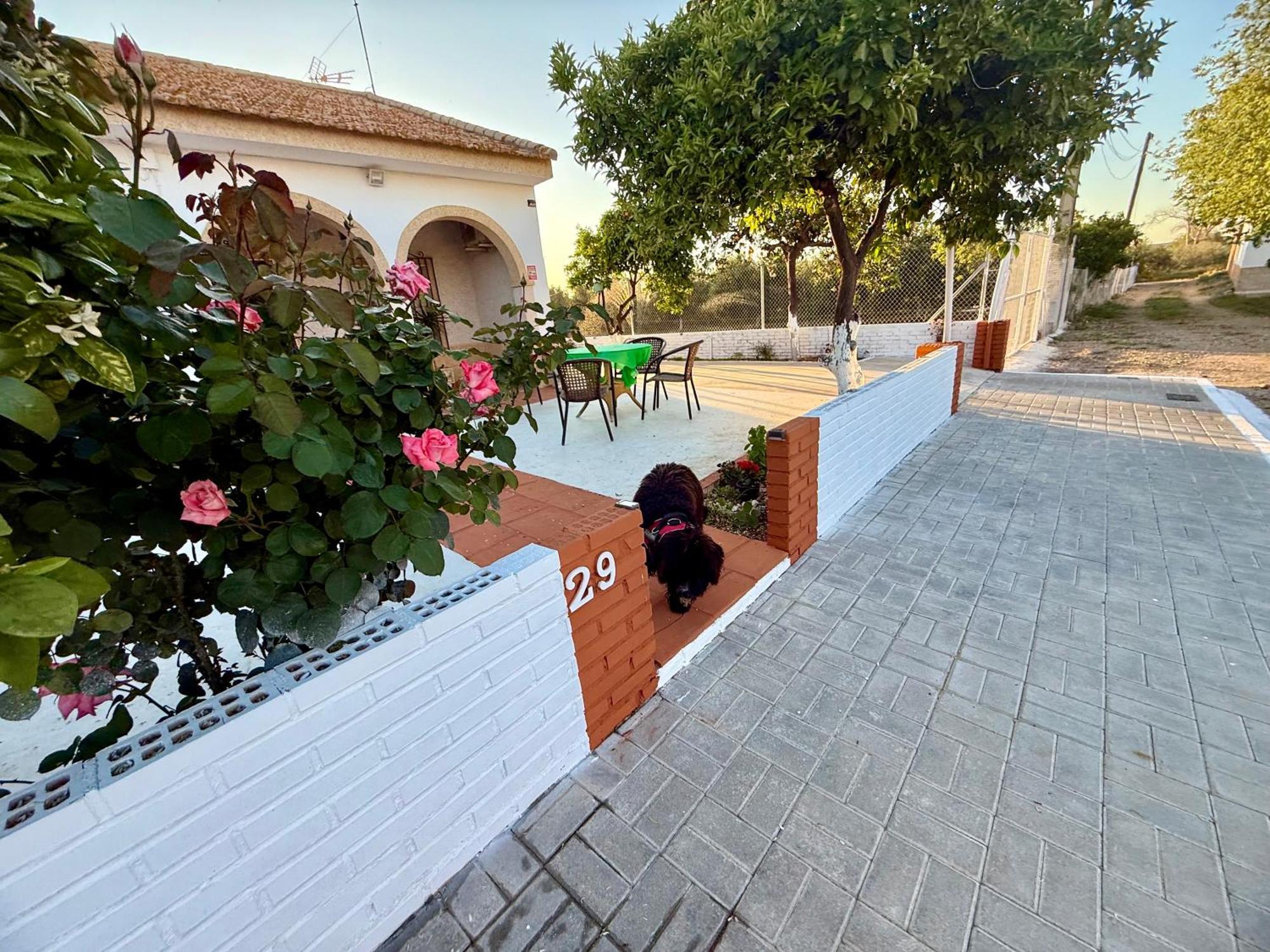 Cañada del Rabadán La Casa Del Flamencoヴィラ エクステリア 写真